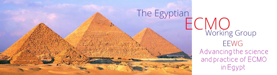 Ecmo EEWG Egypt